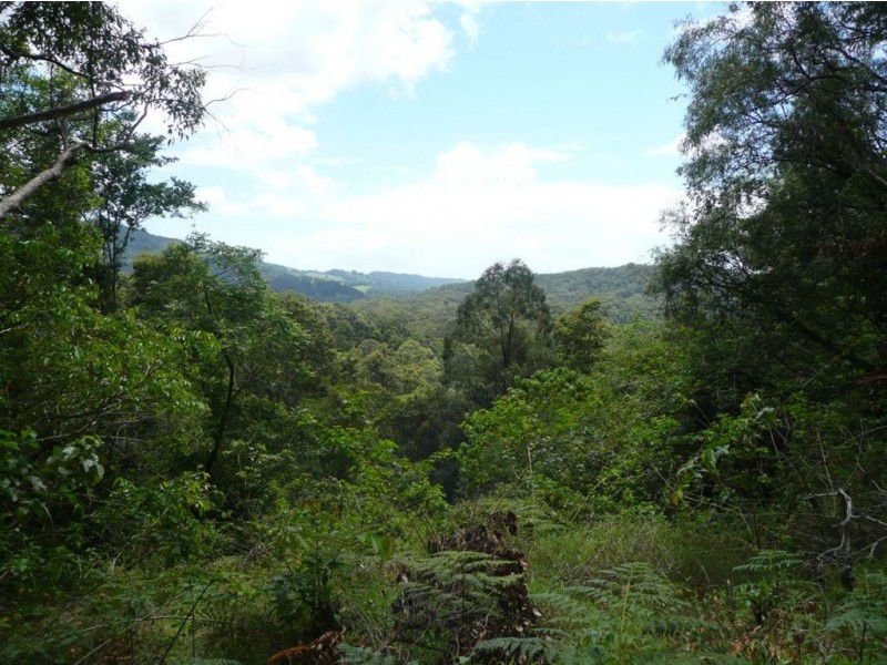 1000 Urliup Road, Urliup NSW 2484