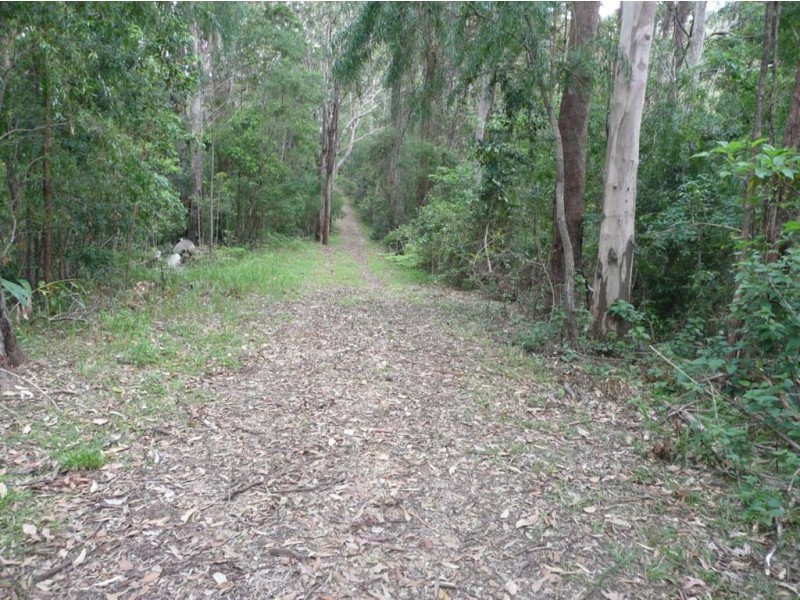 1000 Urliup Road, Urliup NSW 2484