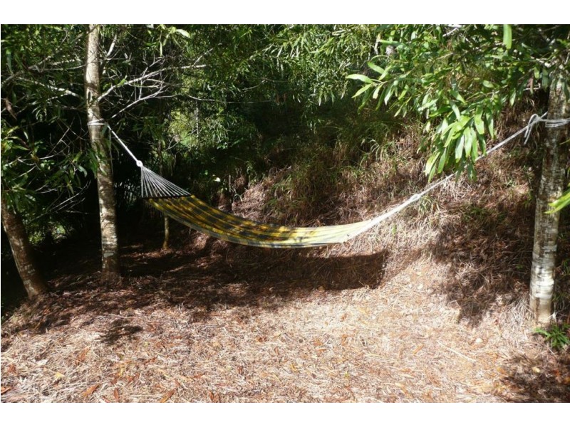 70 Smiths Creek Road, Uki NSW 2484