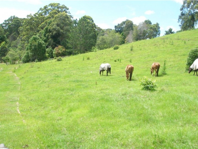 68 Wilman Road, Round Mountain NSW 2484