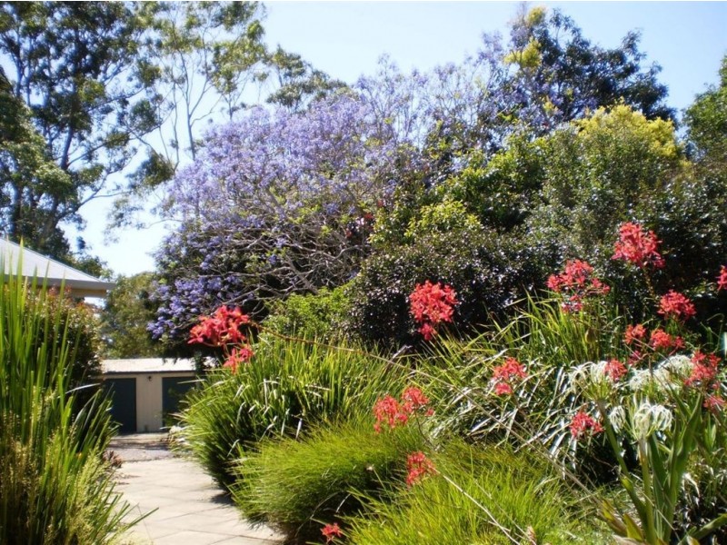 68 Wilman Road, Round Mountain NSW 2484