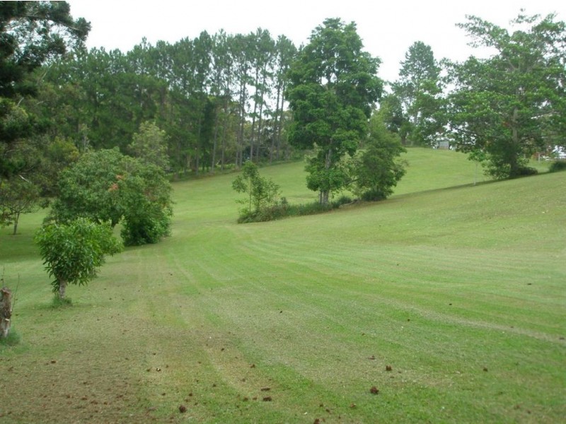 68 Wilman Road, Round Mountain NSW 2484