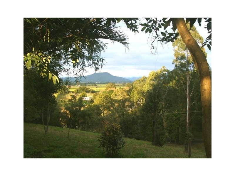 111 Dulguigan Road, Dulguigan NSW 2484