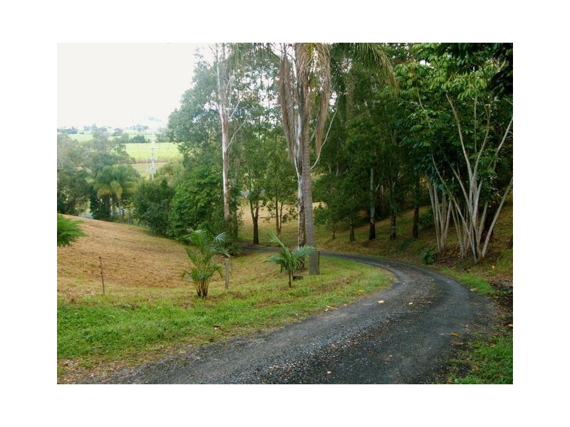 111 Dulguigan Road, Dulguigan NSW 2484