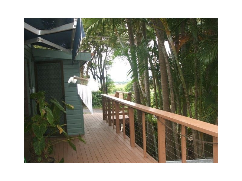 111 Dulguigan Road, Dulguigan NSW 2484