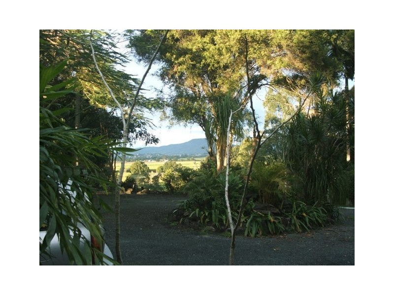 111 Dulguigan Road, Dulguigan NSW 2484