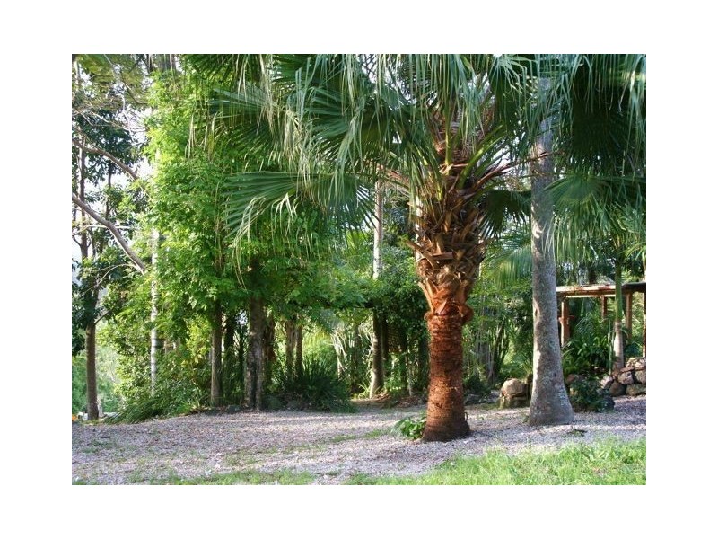 111 Dulguigan Road, Dulguigan NSW 2484