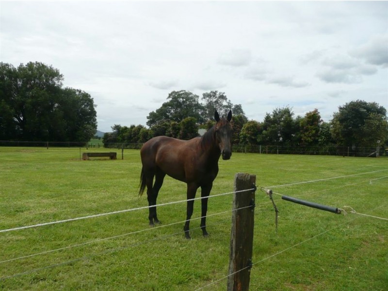 317 Tomewin Road, Dungay NSW 2484