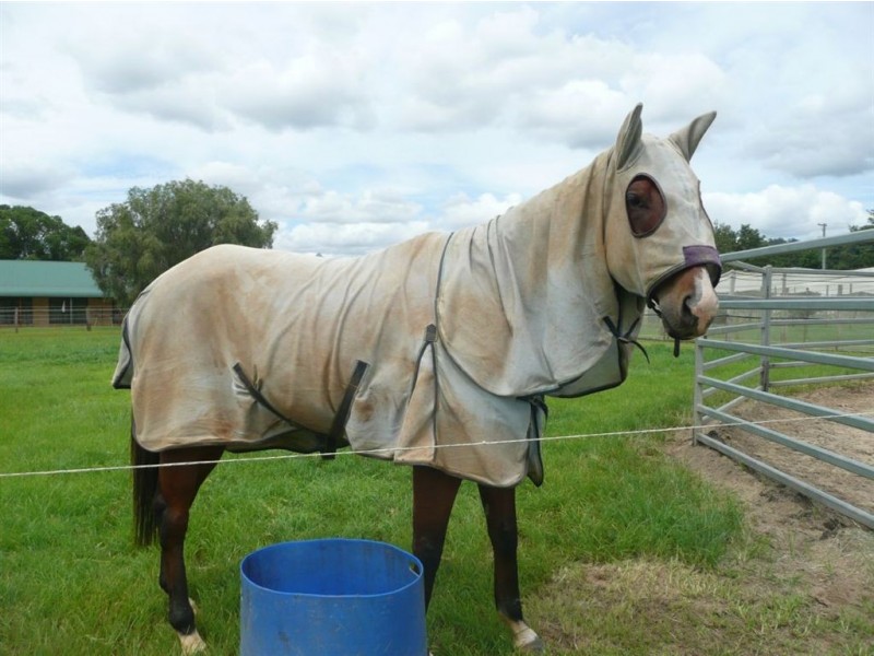 317 Tomewin Road, Dungay NSW 2484