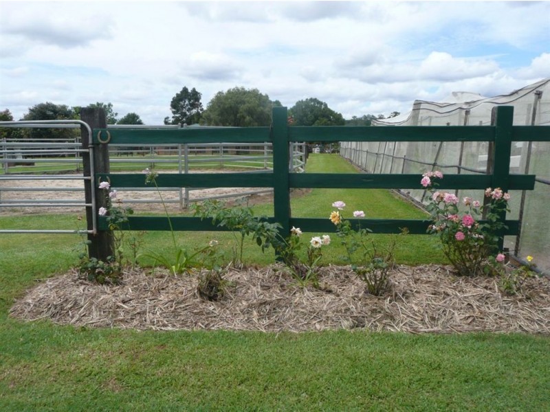 317 Tomewin Road, Dungay NSW 2484