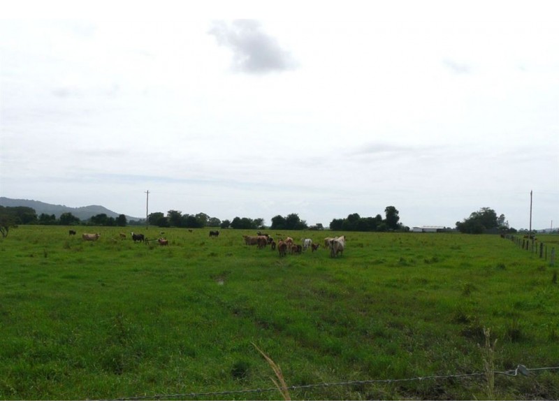 11 McCloys Road, Murwillumbah NSW 2484