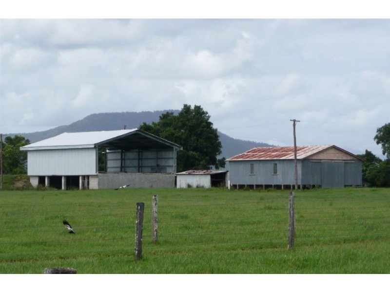 11 McCloys Road, Murwillumbah NSW 2484
