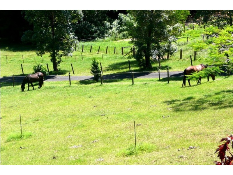 55 Glencoe Road, Murwillumbah NSW 2484