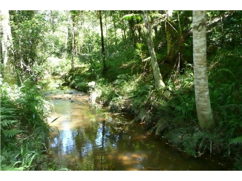 55 Glencoe Road, Murwillumbah NSW 2484