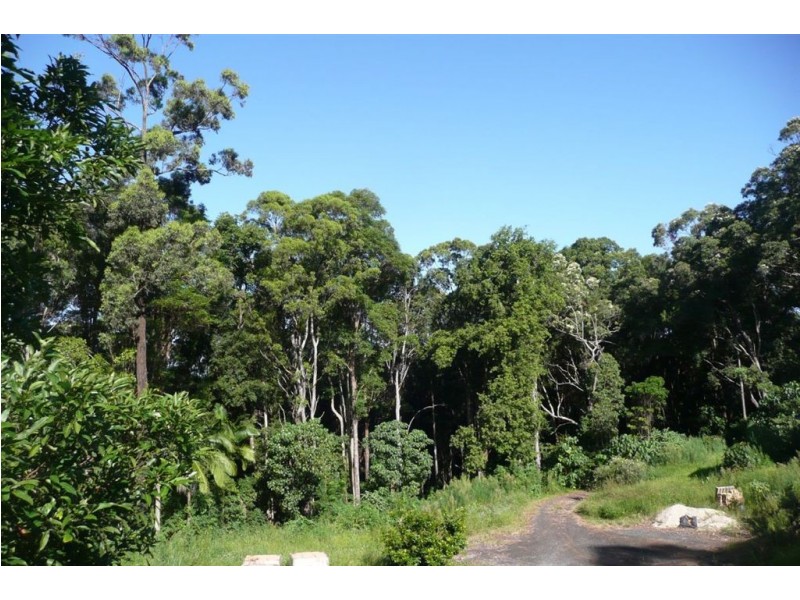 59 Binalong Court, Burringbar NSW 2483