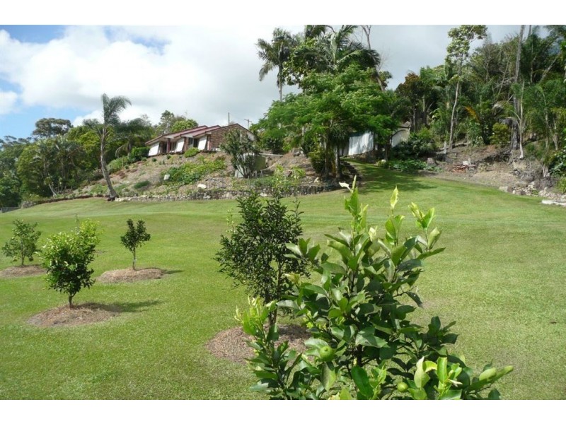 181 Clothiers Creek Road, Nunderi NSW 2484