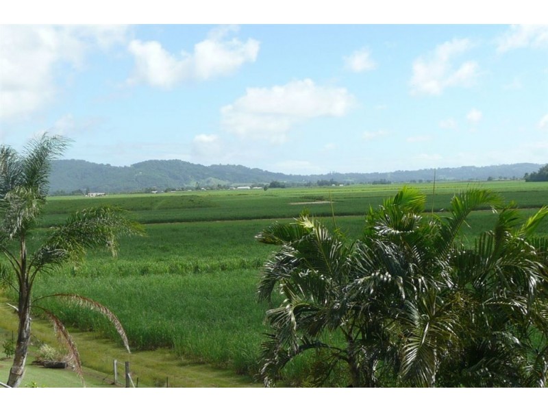 181 Clothiers Creek Road, Nunderi NSW 2484