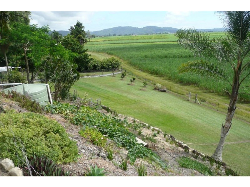 181 Clothiers Creek Road, Nunderi NSW 2484