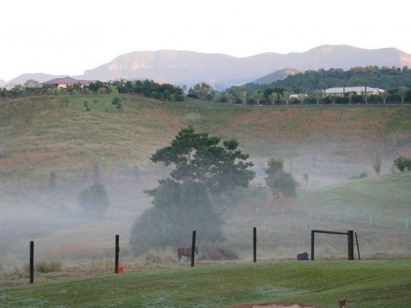 41 Booyong Place, Murwillumbah NSW 2484