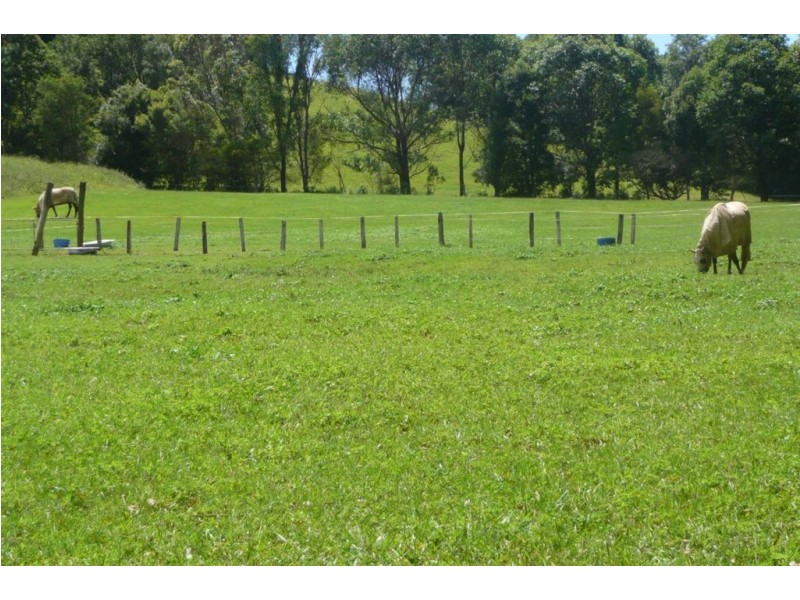 765 Cudgera Creek Road, Cudgera Creek NSW 2484