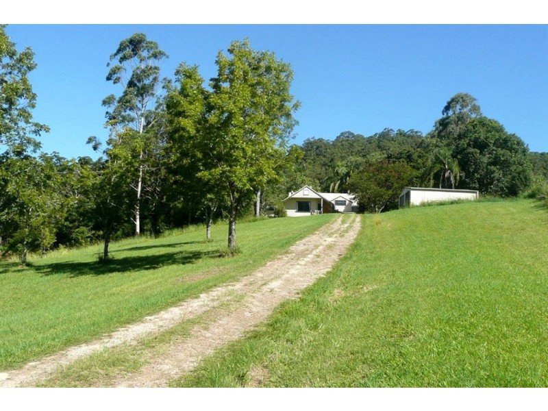 93 Hopkins Creek Road, Hopkins Creek NSW 2484