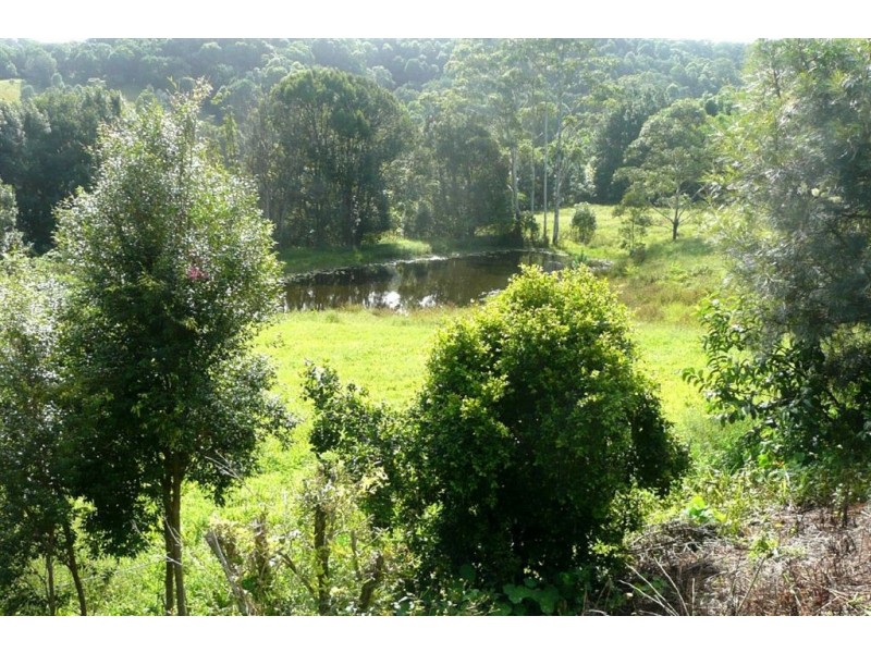 343 Fernvale Road, Murwillumbah NSW 2484