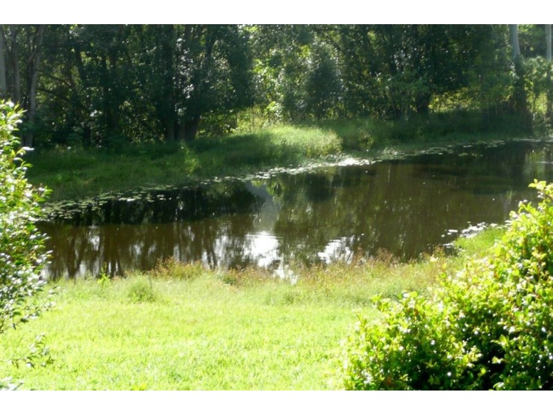 343 Fernvale Road, Murwillumbah NSW 2484