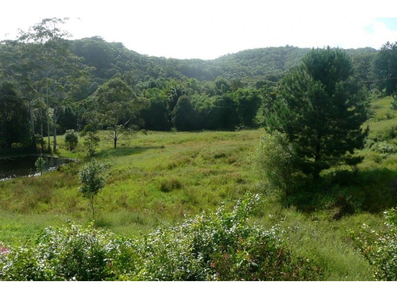 343 Fernvale Road, Murwillumbah NSW 2484