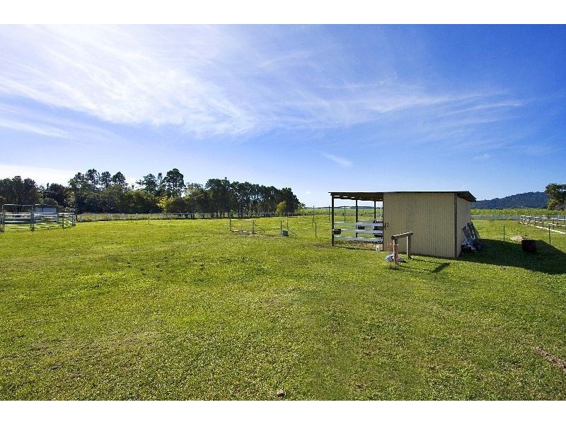 48 McLeod Street, Condong NSW 2484