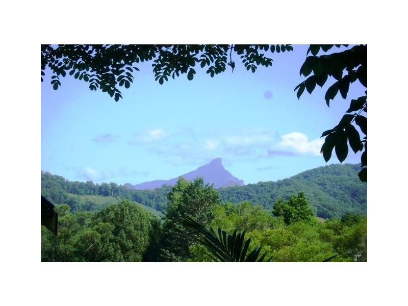 7 Culbara Place, Stokers Siding NSW 2484