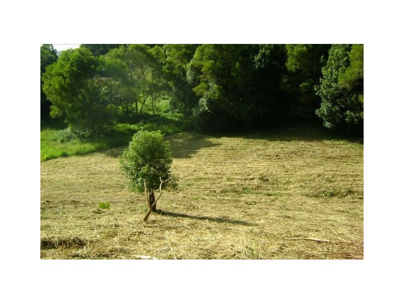 7 Culbara Place, Stokers Siding NSW 2484