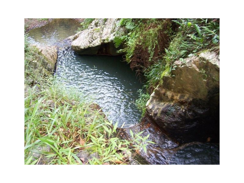 166 Crooks Valley Road, Murwillumbah NSW 2484