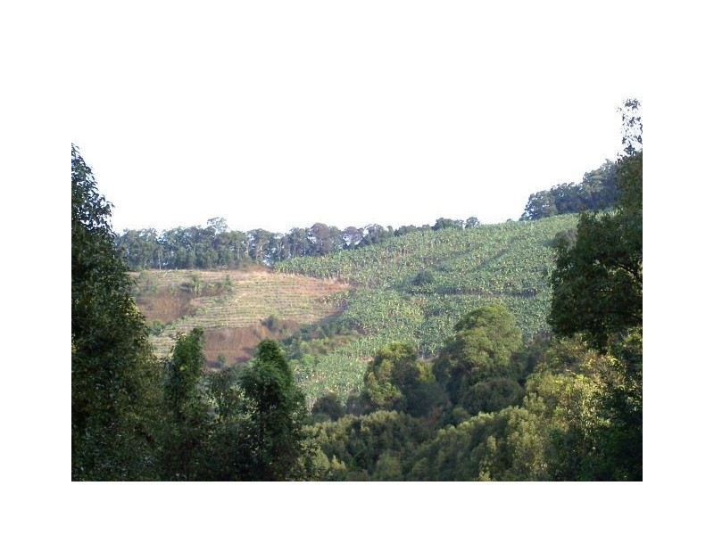 166 Crooks Valley Road, Murwillumbah NSW 2484