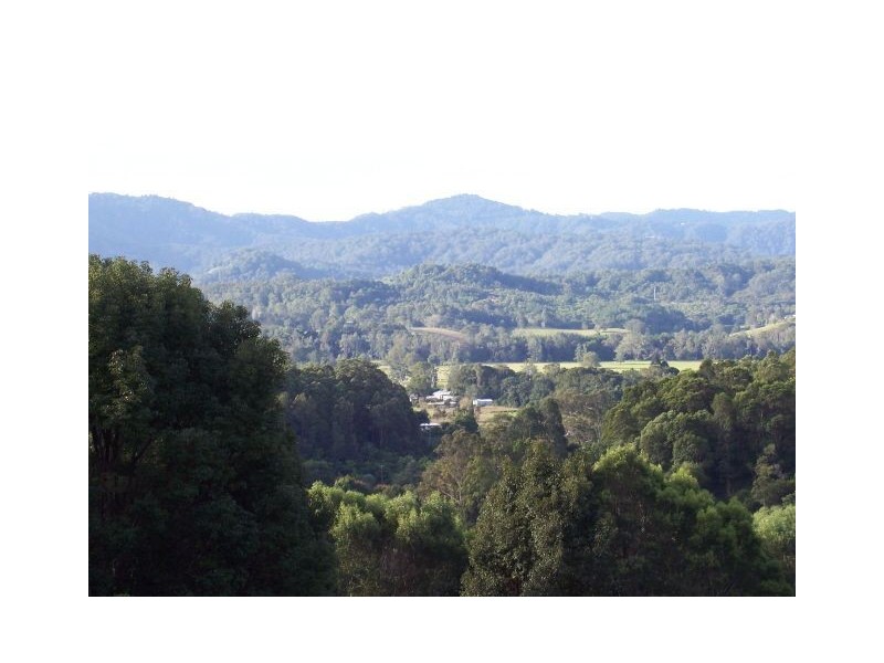 166 Crooks Valley Road, Murwillumbah NSW 2484