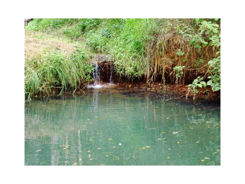 166 Crooks Valley Road, Murwillumbah NSW 2484