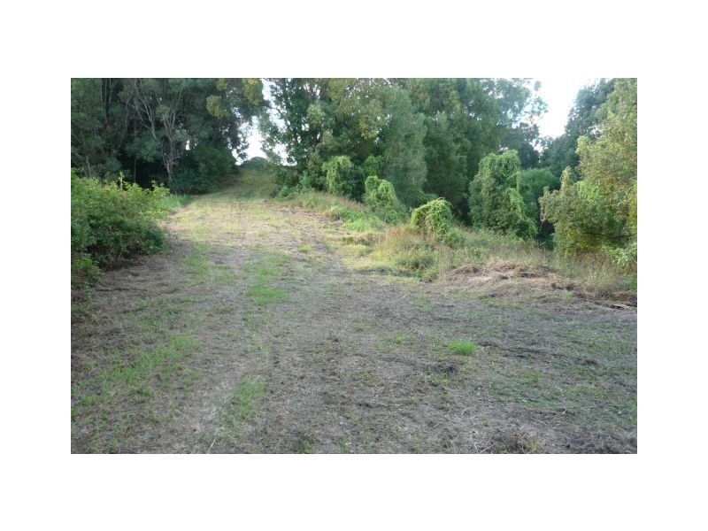 166 Crooks Valley Road, Murwillumbah NSW 2484