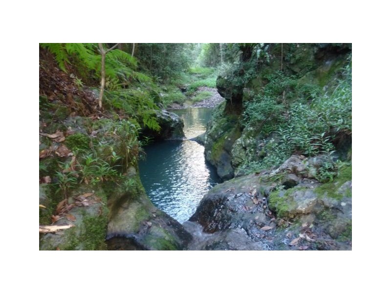 166 Crooks Valley Road, Murwillumbah NSW 2484