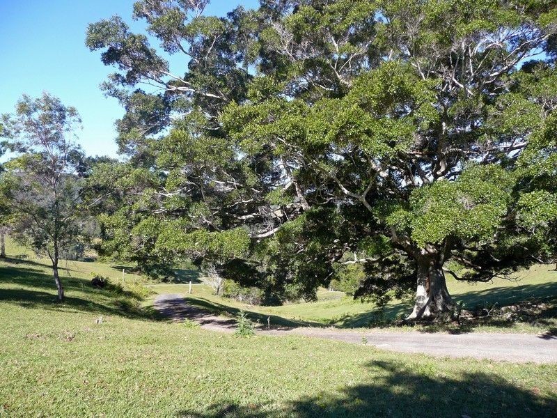 1904 Numinbah Road, Numinbah NSW 2484