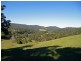1904 Numinbah Road, Numinbah NSW 2484