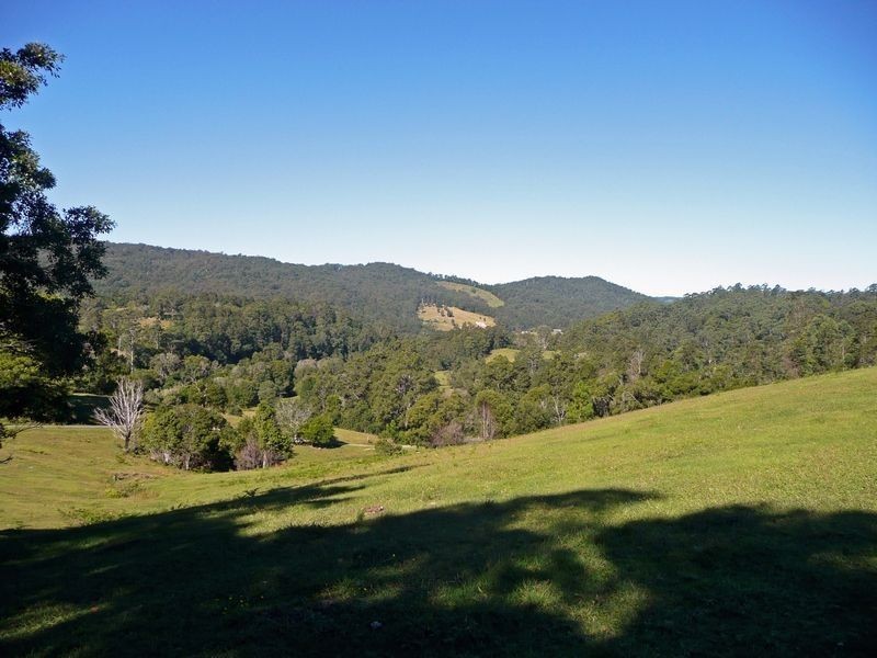 1904 Numinbah Road, Numinbah NSW 2484