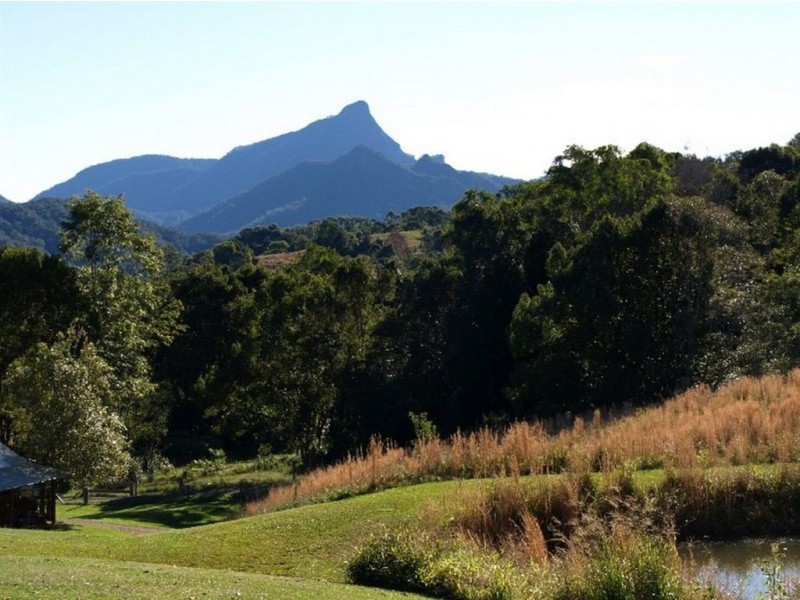 139 Chowan Creek Road, Uki NSW 2484