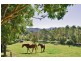 102 Greenvale Court, Burringbar NSW 2483