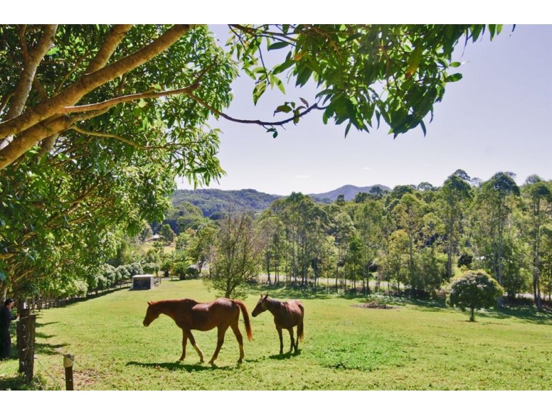 102 Greenvale Court, Burringbar NSW 2483