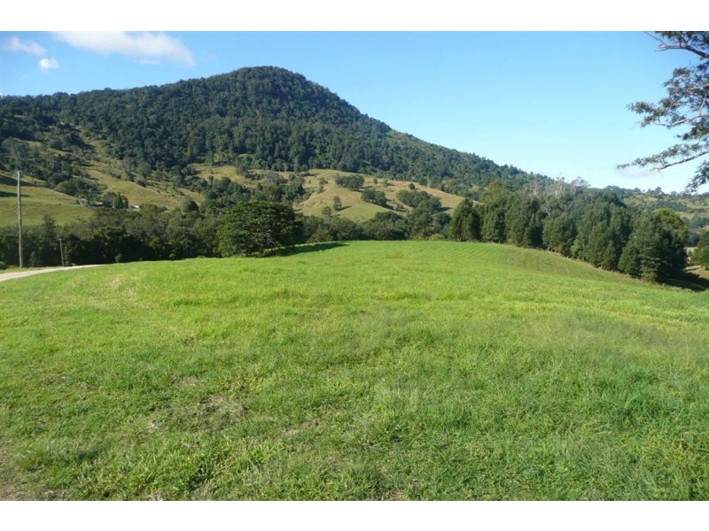 235 Limpinwood Road, Limpinwood NSW 2484