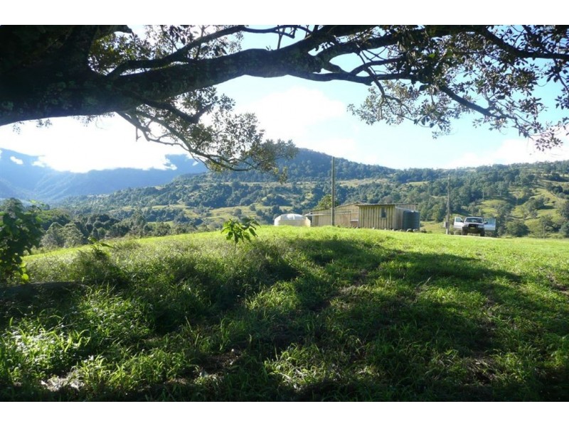 235 Limpinwood Road, Limpinwood NSW 2484