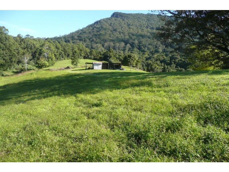 235 Limpinwood Road, Limpinwood NSW 2484