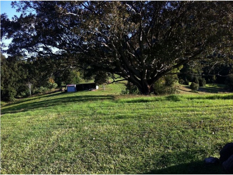 235 Limpinwood Road, Limpinwood NSW 2484