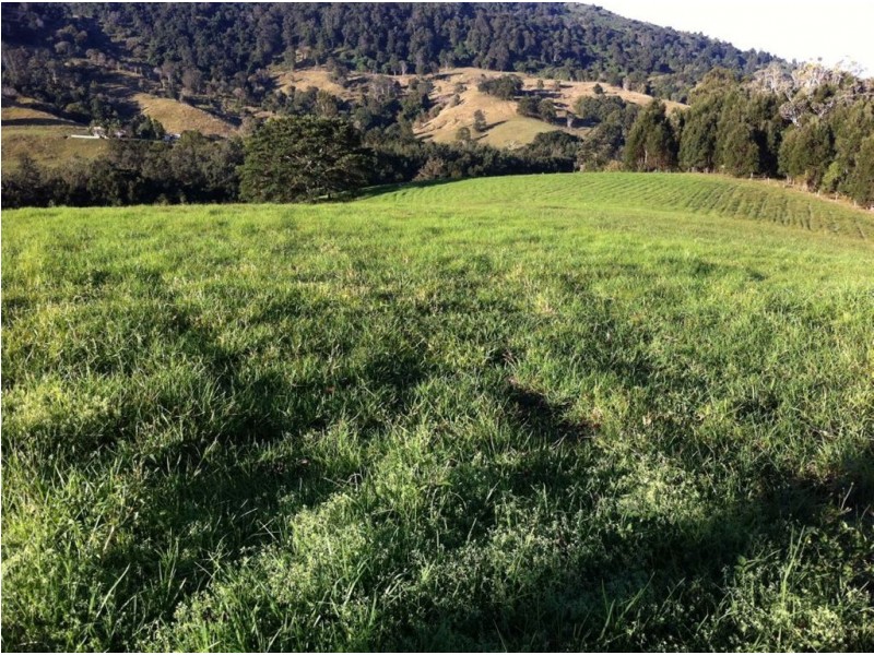 235 Limpinwood Road, Limpinwood NSW 2484