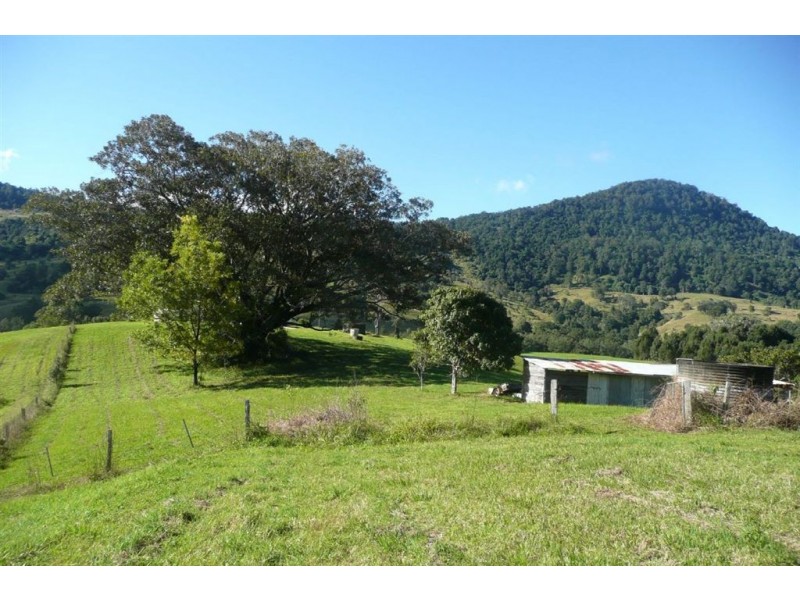 235 Limpinwood Road, Limpinwood NSW 2484