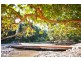 620 Upper Crystal Creek Road, Murwillumbah NSW 2484